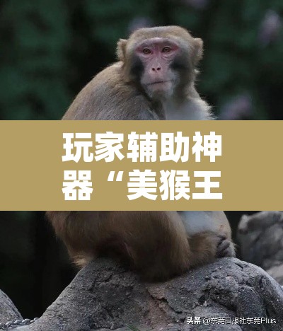 玩家辅助神器“美猴王大厅是不是有挂吗”其实确实有挂