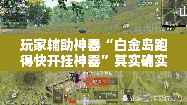 玩家辅助神器“白金岛跑得快开挂神器”其实确实有挂