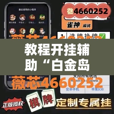 教程开挂辅助“白金岛跑胡子破解版”附辅助神器开挂脚本详细步骤