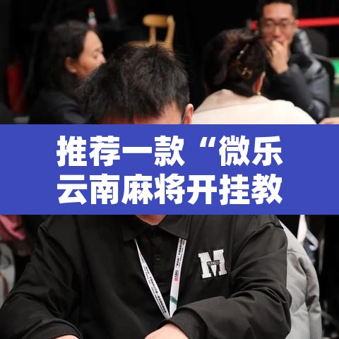 推荐一款“微乐云南麻将开挂教程”开挂辅助脚本+详细开挂安装教程