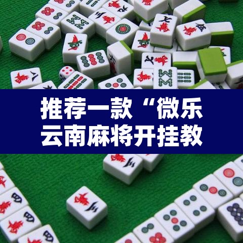 推荐一款“微乐云南麻将开挂教程”开挂辅助脚本+详细开挂安装教程