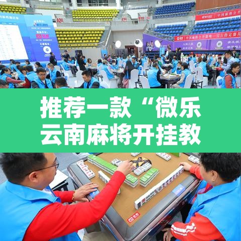 推荐一款“微乐云南麻将开挂教程”开挂辅助脚本+详细开挂安装教程