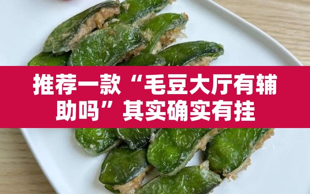 推荐一款“毛豆大厅有辅助吗	”其实确实有挂