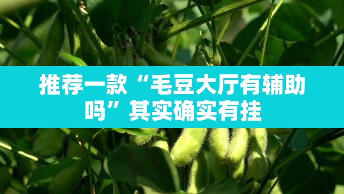 推荐一款“毛豆大厅有辅助吗”其实确实有挂
