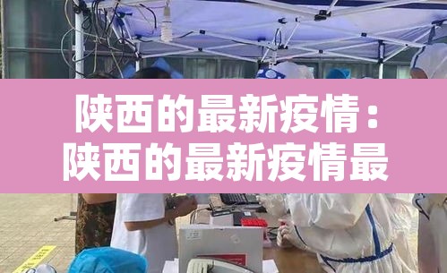 陕西的最新疫情:陕西的最新疫情最新消息 陕西的最新疫情:陕西的最新疫情最新消息