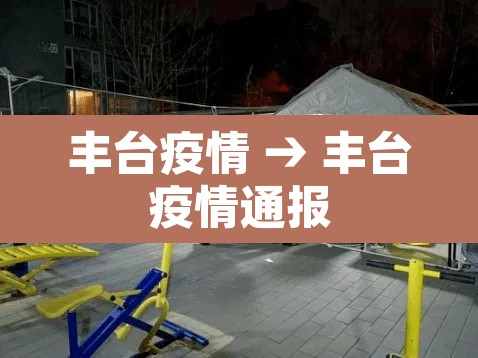 丰台疫情 → 丰台疫情通报