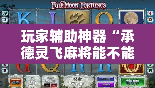 玩家辅助神器“承德灵飞麻将能不能开挂”其实确实有挂