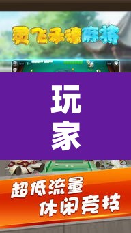 玩家辅助神器“承德灵飞麻将能不能开挂”其实确实有挂