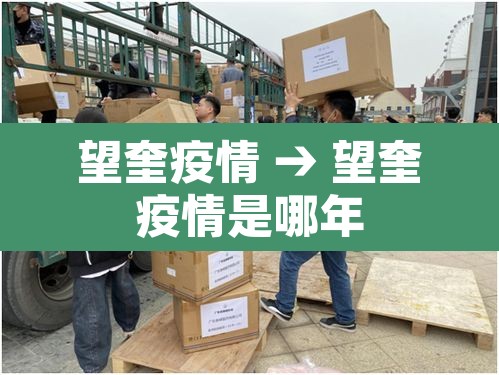 望奎疫情 → 望奎疫情是哪年