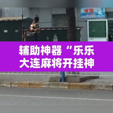 辅助神器“乐乐大连麻将开挂神器”附辅助神器开挂脚本详细步骤