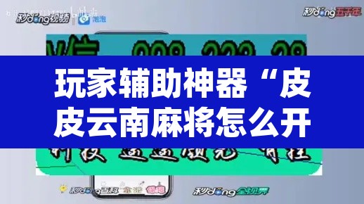玩家辅助神器“皮皮云南麻将怎么开挂”(透视)其实确实有挂