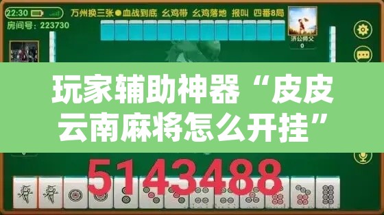 玩家辅助神器“皮皮云南麻将怎么开挂”(透视)其实确实有挂