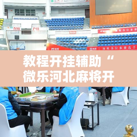 教程开挂辅助“微乐河北麻将开挂免费下载	”其实确实有挂