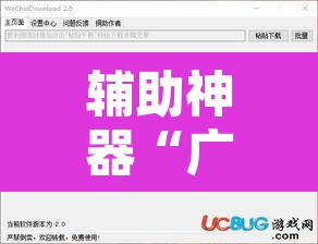 辅助神器“广西八一字牌透视软件	”开挂辅助脚本+详细开挂安装教程