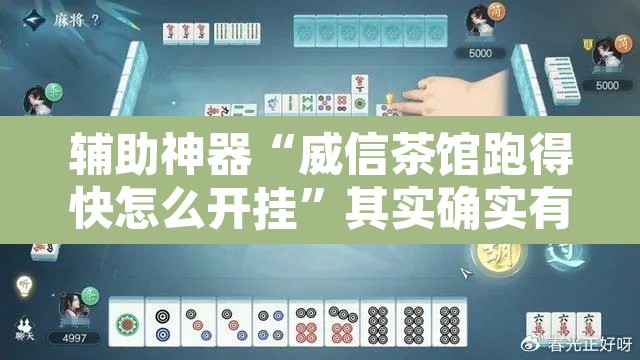 辅助神器“威信茶馆跑得快怎么开挂”其实确实有挂