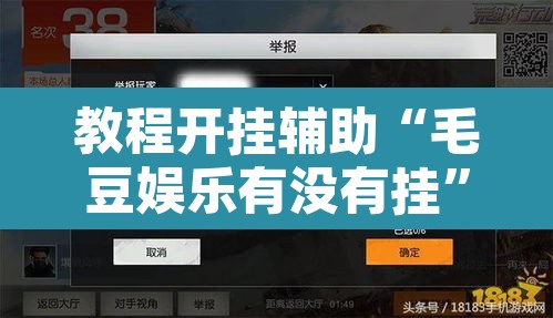教程开挂辅助“毛豆娱乐有没有挂”附辅助神器开挂脚本详细步骤