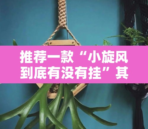 推荐一款“小旋风到底有没有挂”其实确实有挂