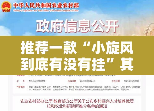 推荐一款“小旋风到底有没有挂	”其实确实有挂