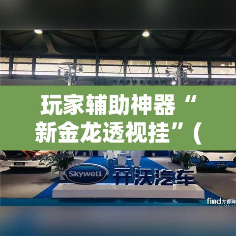 玩家辅助神器“新金龙透视挂”(透视)其实确实有挂