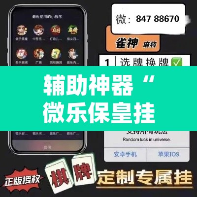 辅助神器“微乐保皇挂”(透视)其实确实有挂