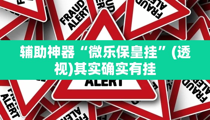 辅助神器“微乐保皇挂	”(透视)其实确实有挂