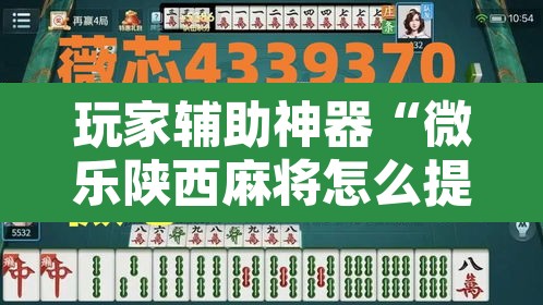 玩家辅助神器“微乐陕西麻将怎么提高胜率	”附辅助神器开挂脚本详细步骤
