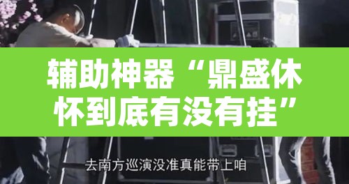 辅助神器“鼎盛休怀到底有没有挂”其实确实有挂