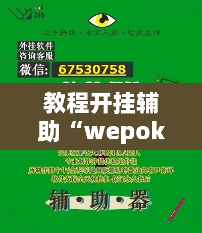 教程开挂辅助“wepokerplus德州透视挂”(透视挂)辅助透视教程