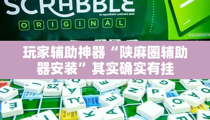 玩家辅助神器“陕麻圈辅助器安装”其实确实有挂