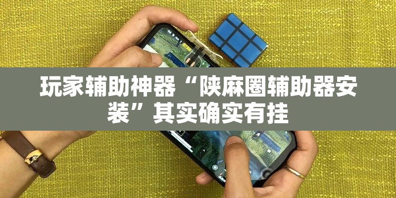 玩家辅助神器“陕麻圈辅助器安装	”其实确实有挂