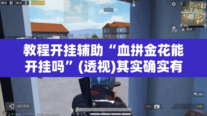 教程开挂辅助“血拼金花能开挂吗	”(透视)其实确实有挂