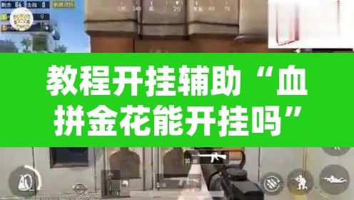 教程开挂辅助“血拼金花能开挂吗”(透视)其实确实有挂