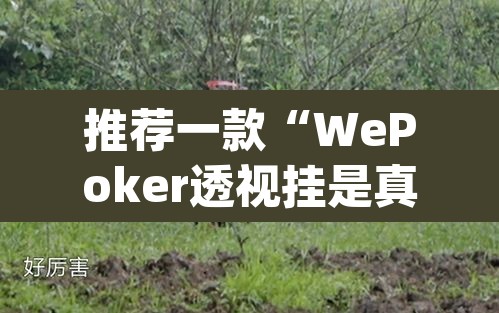 推荐一款“WePoker透视挂是真的假的”(透视)其实确实有挂