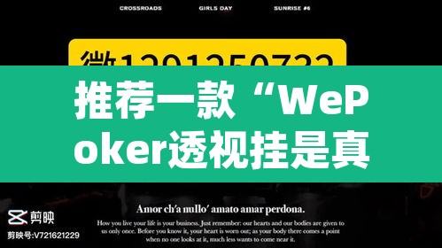 推荐一款“WePoker透视挂是真的假的	”(透视)其实确实有挂
