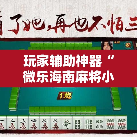 玩家辅助神器“微乐海南麻将小程序必赢神器”(透视挂)辅助透视教程