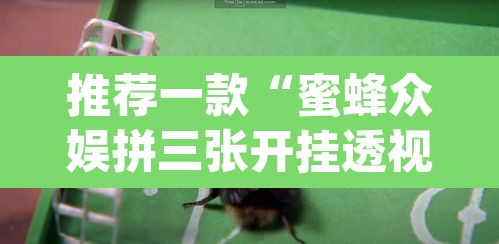 推荐一款“蜜蜂众娱拼三张开挂透视”(透视)其实确实有挂