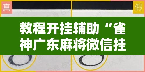 教程开挂辅助“雀神广东麻将微信挂”(透视挂)辅助透视教程