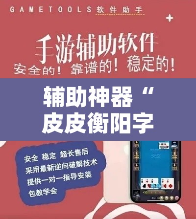 辅助神器“皮皮衡阳字牌怎么开挂”开挂辅助脚本+详细开挂安装教程