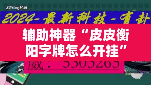 辅助神器“皮皮衡阳字牌怎么开挂”开挂辅助脚本+详细开挂安装教程