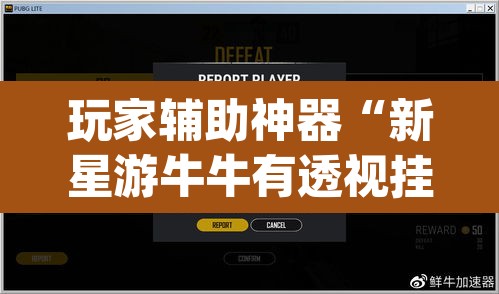 玩家辅助神器“新星游牛牛有透视挂吗”(透视挂)辅助透视教程