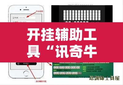 开挂辅助工具“讯奇牛牛有没有人装挂”(透视挂)辅助透视教程