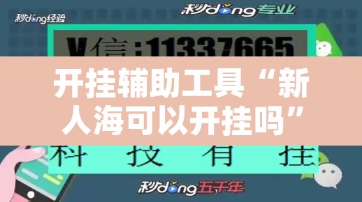 开挂辅助工具“新人海可以开挂吗”其实确实有挂