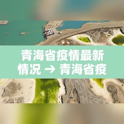 青海省疫情最新情况 → 青海省疫情最新情况最新消息