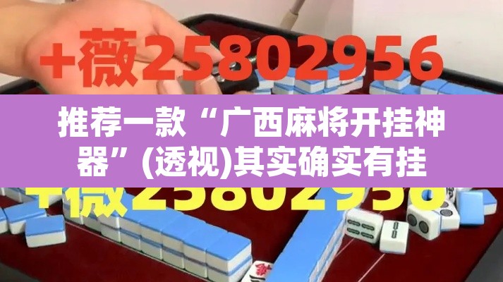 推荐一款“广西麻将开挂神器	”(透视)其实确实有挂