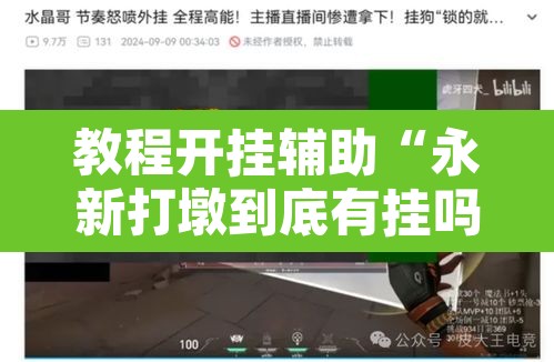 教程开挂辅助“永新打墩到底有挂吗”其实确实有挂