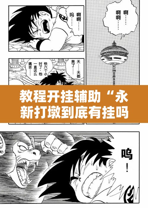 教程开挂辅助“永新打墩到底有挂吗”其实确实有挂