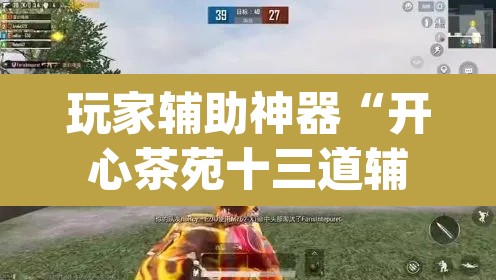 玩家辅助神器“开心茶苑十三道辅助开挂	”(透视挂)辅助透视教程