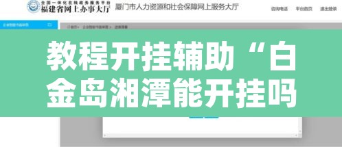 教程开挂辅助“白金岛湘潭能开挂吗”开挂辅助脚本+详细开挂安装教程