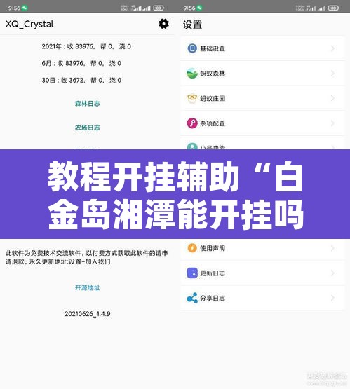 教程开挂辅助“白金岛湘潭能开挂吗”开挂辅助脚本+详细开挂安装教程