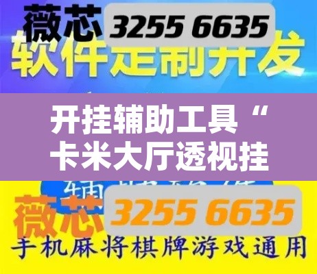 开挂辅助工具“卡米大厅透视挂”开挂辅助脚本+详细开挂安装教程